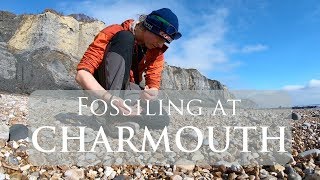 Fossiling at Charmouth Beach In Dorset  Jurassic Coast UK [upl. by Gilus]