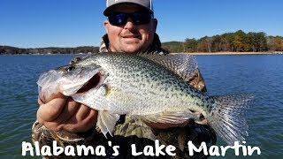 Crappie Fishing Alabamas Lake Martin [upl. by Roberta]