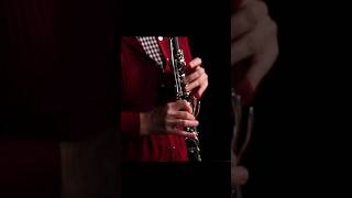 An incredibly effective voicing exercise clarinet bassclarinet [upl. by Ierdna125]