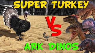 Super Turkey vs ARK Dinos  Ark Battle [upl. by Suolekcin352]