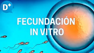 Fecundación in vitro Etapas y resultados [upl. by Acacia]