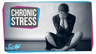 How Chronic Stress Harms Your Body [upl. by Margeaux]