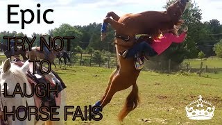 Try not to laugh  horse fails [upl. by Ahsataj258]