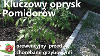 Kluczowy pierwszy oprysk Pomidorów po posadzeniu [upl. by Sokul]