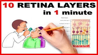 Retinal Layers in 1 minute  Mnemonic series  13 [upl. by Miksen]