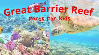 Great Barrier Reef Facts For Kids [upl. by Ermeena]