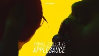 Animal Collective  quotApplesaucequot Official Music Video [upl. by Retrak]