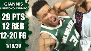 Giannis Antetokounmpo drops 29 and 12 on the Nets  201920 NBA Highlights [upl. by Jorge]