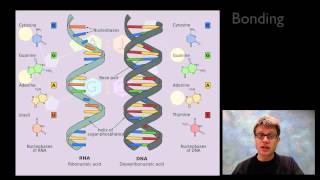 Nucleic Acids [upl. by Ymeraj]