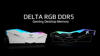 DELTA RGB DDR5 Desktop Memory  TEAMGROUP [upl. by Aiam]