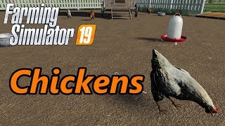 Farming Simulator 19 Tutorial  Chickens [upl. by Ecirehs]