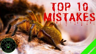 TOP 10 Mistakes Keeping Tarantulas amp Spiders  DONT DO THIS [upl. by Ayisan]