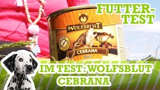 HundefutterTest Wolfsblut Cebrana Nassfutter Getreidefrei [upl. by Maharva]