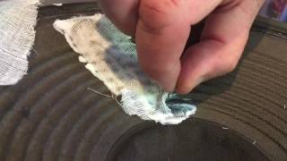 How To Fix A Ripped Speaker [upl. by Sykleb503]