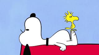 Snoopy and Woodstock  Compilation 5 [upl. by Aimal]