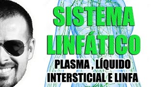 Sistema Linfático  Plasma Líquido Intersticial e Linfa  Anatomia Humana  VideoAula 028 [upl. by Gonnella425]