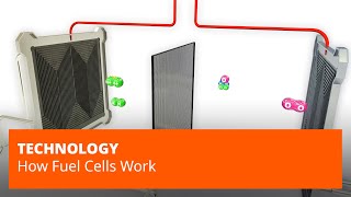 How Fuel Cells Work [upl. by Harle]