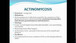 Actinomycosislumpy jaw [upl. by Root]