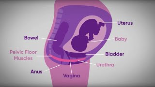 Femur Anatomical Position amp Side Determination  Osteology  Medetuit [upl. by Eelek]