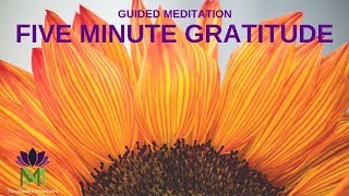 5 Minute Guided Meditation for Gratitude  Mindful Movement [upl. by Nomit]