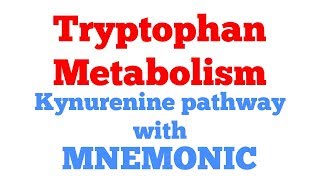 Tryptophan metabolism with Mnemonic  Kynurenine anthranilic acid pathway  Biochemistry [upl. by Kemp]