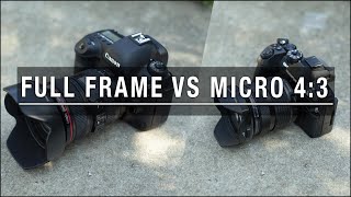 Full Frame vs Micro 43  Where It Matters Most [upl. by Semadar]