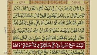 Quran Para 3 with Urdu Translation  Recitation  Mishary Rashid Alafasy [upl. by Brocklin]