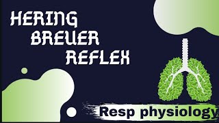 HERING BREUER REFLEX Regulation of respiration [upl. by Alliscirp]