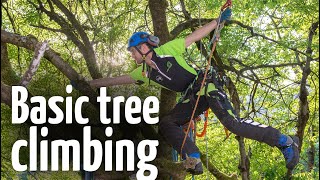 Simple amp safe tree climbing ascent technique [upl. by Eedissac]