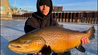 Ice Fishing Big Trout [upl. by Ridley391]