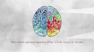 What Is Wernickes Aphasia [upl. by Melleta]