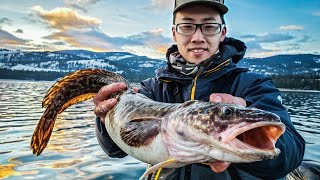 Burbot Catch Clean Cook  Full Day of Walleye amp Burbot Action [upl. by Feeley]