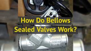 How Do Bellows Sealed Valves Work [upl. by Richma]