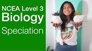 Speciation  NCEA Level 3 Biology Strategy Video  StudyTime NZ [upl. by Edan920]