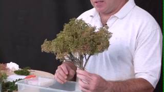 Making Sage Brush Trees [upl. by Bryant]