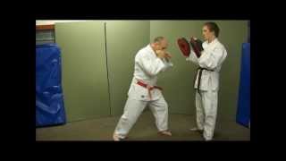 Judo for Self Defence Atemi Waza Part 1 amp PreEmptive Strikes Ray Sheerin [upl. by Wurst]