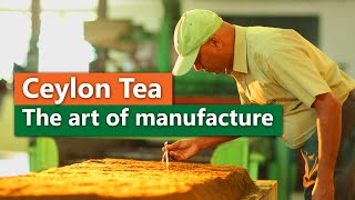 Ceylon Tea  The art of manufacture [upl. by Cenac]