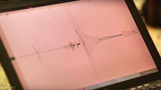 How Does a Seismometer Work [upl. by Wilen]