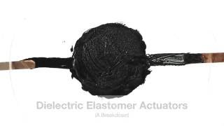 The Basics of Dielectric Elastomers [upl. by Giffard]