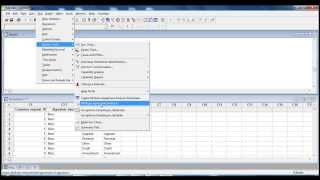 Attribute Agreement Analysis  Nominal Data [upl. by Gerhan477]