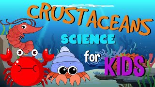 What are Crustaceans  Science for Kids [upl. by Day]