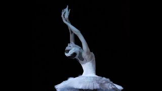 Svetlana Zakharova in The Dying Swan [upl. by Northrup]