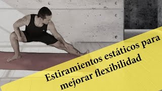 Ejercicios de estiramientos estáticos para mejorar la flexibilidad [upl. by Nylirac]