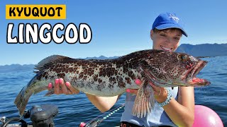 BIG LINGCOD  Kyuquot The Fish Metropolis  Fishing with Rod [upl. by Ahsiya47]