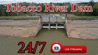 Tobacco River Dam  Michigan  247 HD Live Stream [upl. by Cynthea]