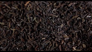 Darjeeling Tea [upl. by Powell]