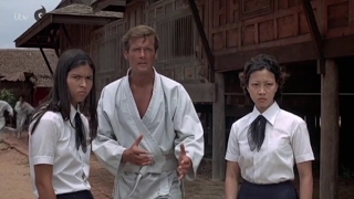 Roger Moore karate clip from Bond film The Man with the Golden Gun [upl. by Neo]