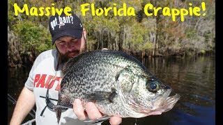 Crappie Fishing Floridas Newnans Lake [upl. by Esinahs]