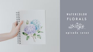 How To Paint Hydrangeas Watercolor Florals Episode Seven [upl. by Racso]