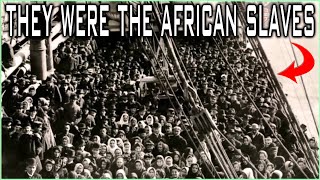 White Immigrants Were The African Slaves That Arrived In America During The Slave Trade Era [upl. by Darrick]